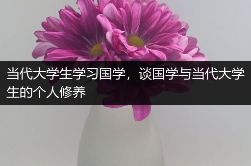 当代大学生学习国学，谈国学与当代大学生的个人修养