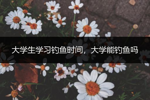 大学生学习钓鱼时间，大学能钓鱼吗