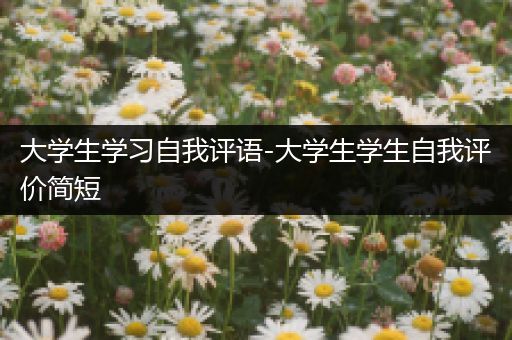 大学生学习自我评语-大学生学生自我评价简短