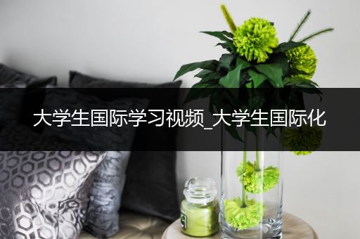 大学生国际学习视频_大学生国际化