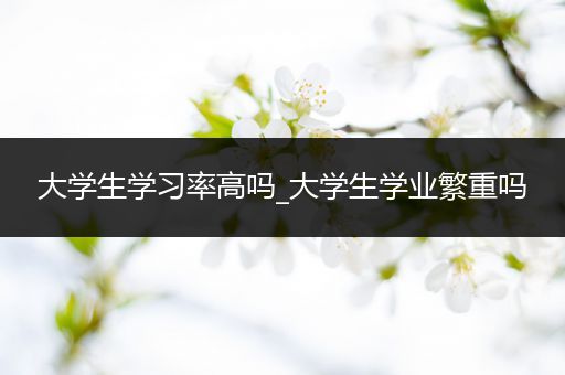 大学生学习率高吗_大学生学业繁重吗