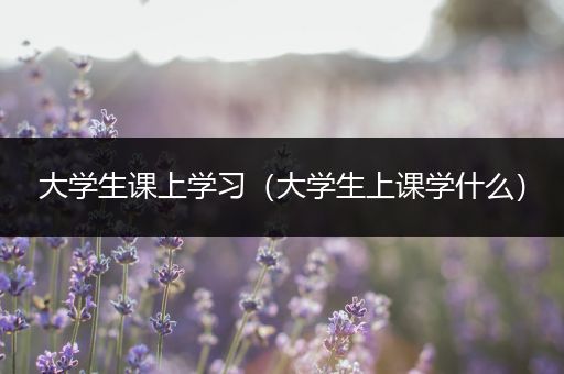 大学生课上学习（大学生上课学什么）