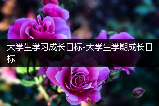 大学生学习成长目标-大学生学期成长目标