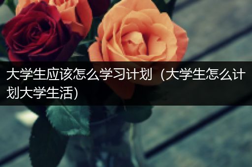 大学生应该怎么学习计划（大学生怎么计划大学生活）