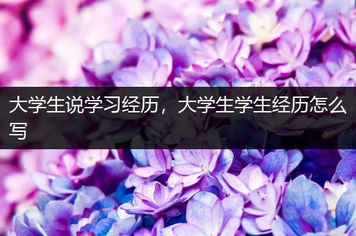 大学生说学习经历，大学生学生经历怎么写
