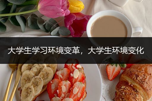大学生学习环境变革，大学生环境变化