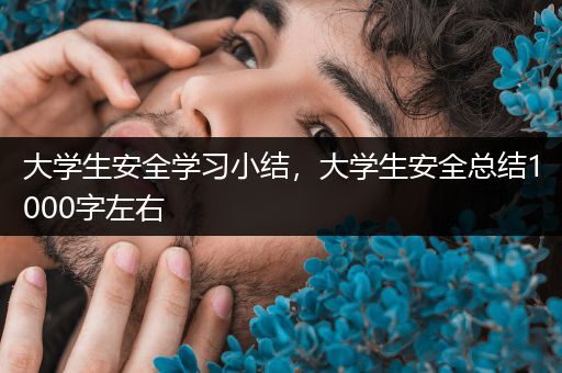 大学生安全学习小结，大学生安全总结1000字左右
