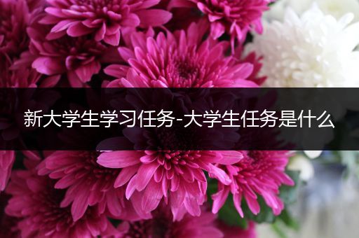 新大学生学习任务-大学生任务是什么