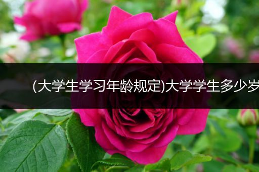 （大学生学习年龄规定)大学学生多少岁