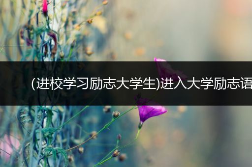 （进校学习励志大学生)进入大学励志语