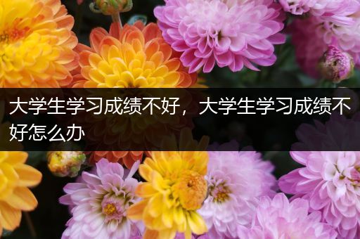 大学生学习成绩不好，大学生学习成绩不好怎么办