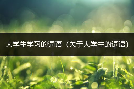 大学生学习的词语（关于大学生的词语）