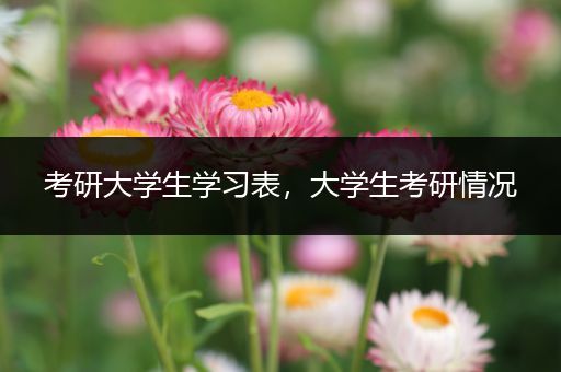 考研大学生学习表，大学生考研情况