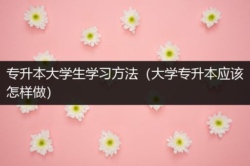 专升本大学生学习方法（大学专升本应该怎样做）