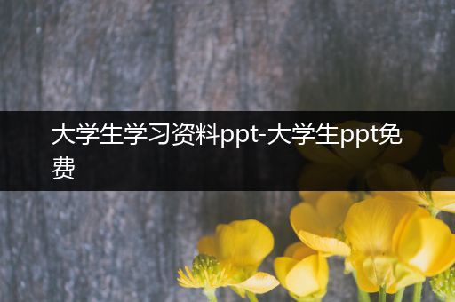 大学生学习资料ppt-大学生ppt免费