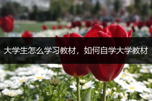 大学生怎么学习教材，如何自学大学教材