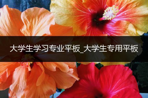 大学生学习专业平板_大学生专用平板