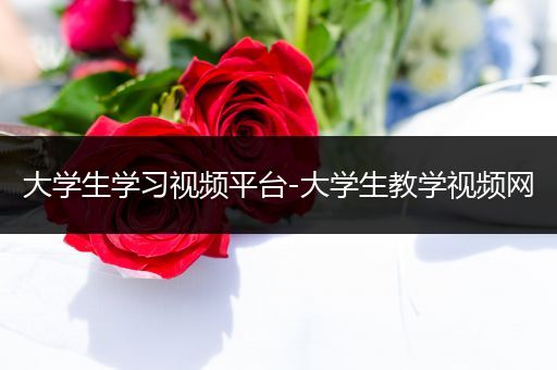 大学生学习视频平台-大学生教学视频网