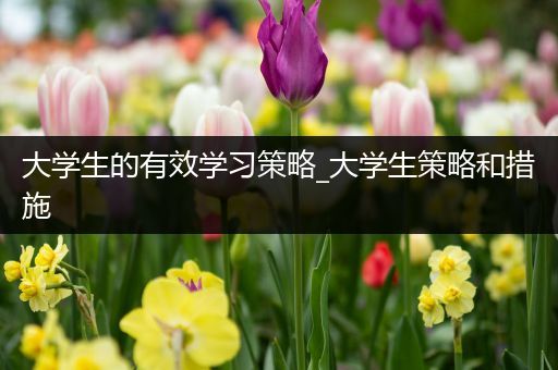 大学生的有效学习策略_大学生策略和措施