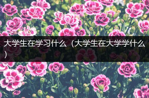 大学生在学习什么（大学生在大学学什么）
