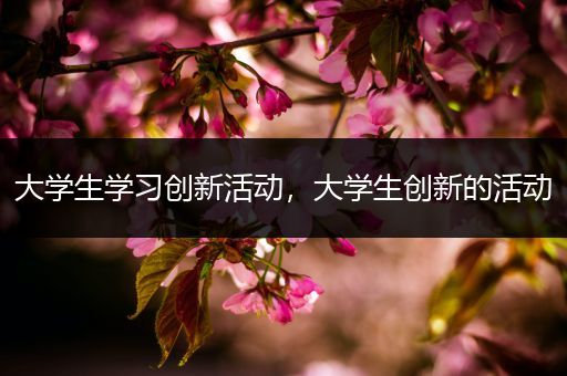 大学生学习创新活动，大学生创新的活动
