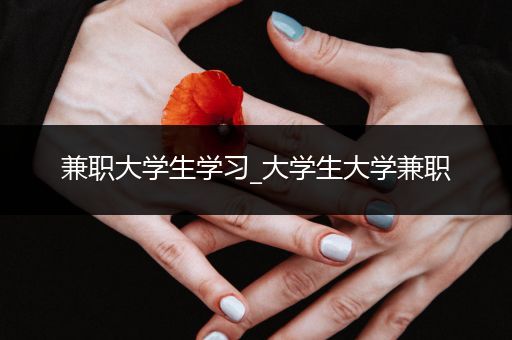 兼职大学生学习_大学生大学兼职