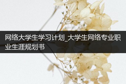 网络大学生学习计划_大学生网络专业职业生涯规划书