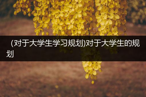 （对于大学生学习规划)对于大学生的规划