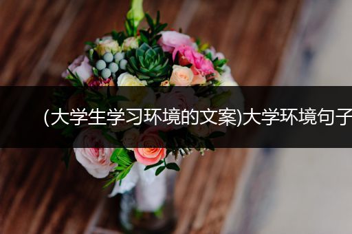 （大学生学习环境的文案)大学环境句子