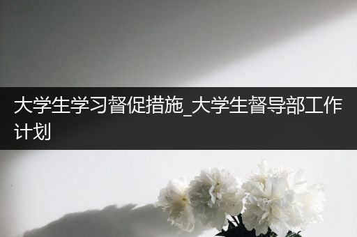 大学生学习督促措施_大学生督导部工作计划