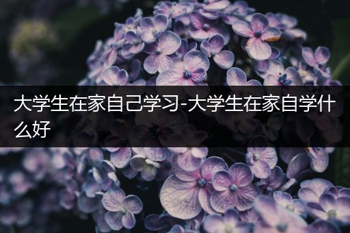 大学生在家自己学习-大学生在家自学什么好