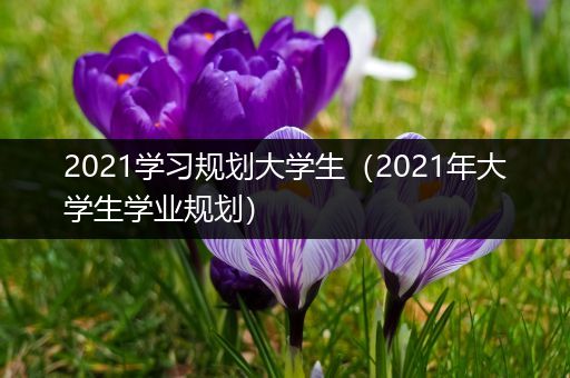 2021学习规划大学生（2021年大学生学业规划）