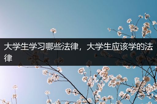 大学生学习哪些法律，大学生应该学的法律