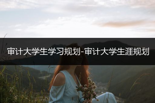 审计大学生学习规划-审计大学生涯规划