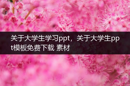关于大学生学习ppt，关于大学生ppt模板免费下载 素材