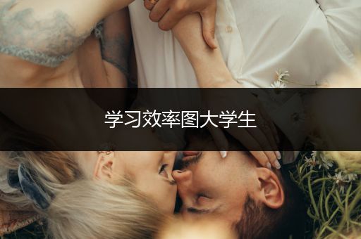 学习效率图大学生