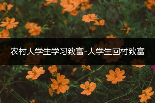 农村大学生学习致富-大学生回村致富