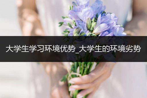 大学生学习环境优势_大学生的环境劣势