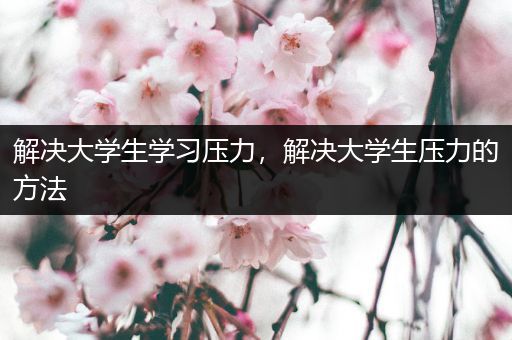 解决大学生学习压力，解决大学生压力的方法