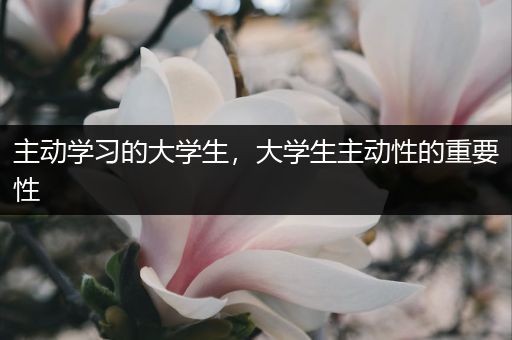 主动学习的大学生，大学生主动性的重要性