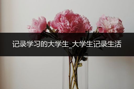 记录学习的大学生_大学生记录生活