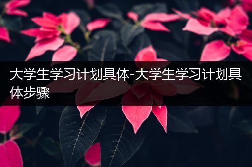 大学生学习计划具体-大学生学习计划具体步骤