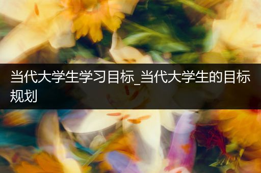 当代大学生学习目标_当代大学生的目标规划