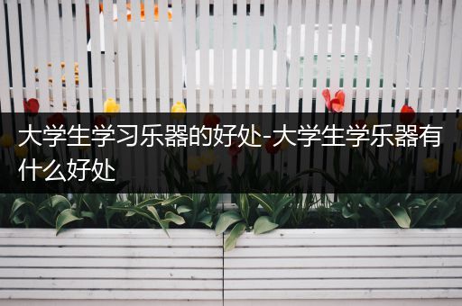 大学生学习乐器的好处-大学生学乐器有什么好处