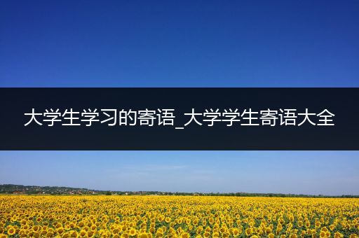 大学生学习的寄语_大学学生寄语大全