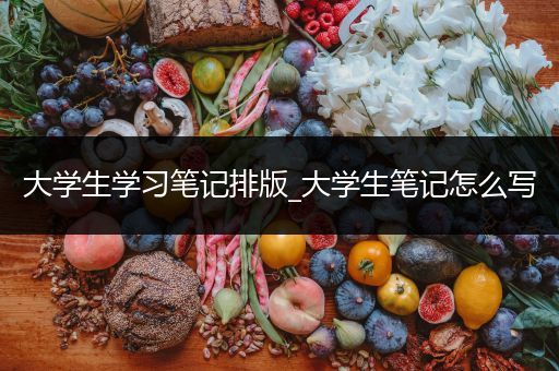 大学生学习笔记排版_大学生笔记怎么写
