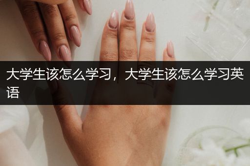 大学生该怎么学习，大学生该怎么学习英语