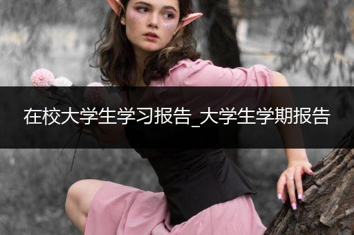 在校大学生学习报告_大学生学期报告