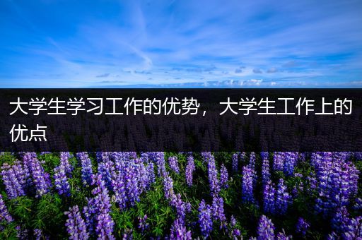 大学生学习工作的优势，大学生工作上的优点
