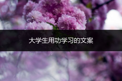 大学生用功学习的文案
